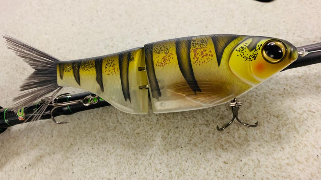 Chad Shad glide bait