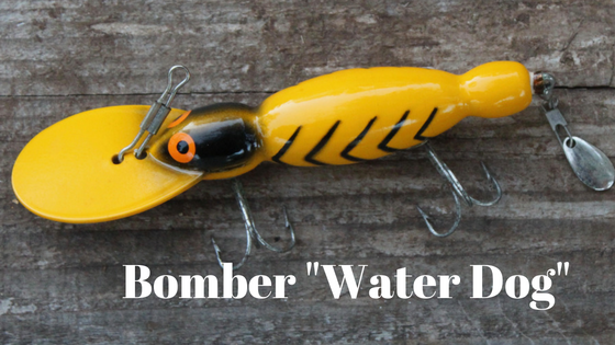 Bomber “Water Dog”