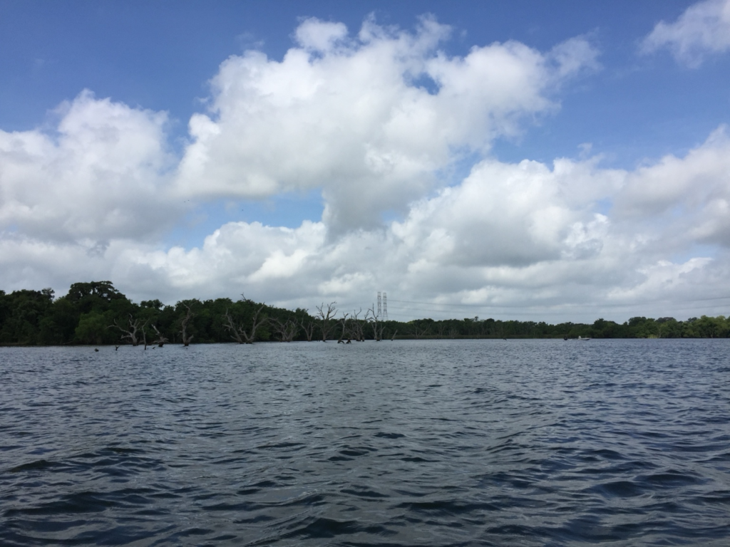 Open reservoir with flooded dead timber beneath a partly cloudy sky