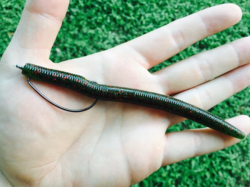 Texas-rigged Gary Yamamoto Senko on an offset hook from the Bass Fishing Facts archive